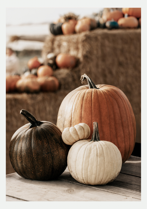 Citrouilles d'Automne et Bottes de Paille – Affiche Photo