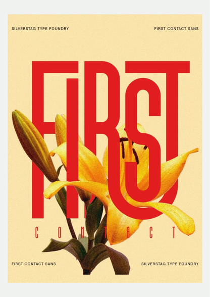 Affiche Typographique First Contact Lys Doré - visuel principal rouge et crème