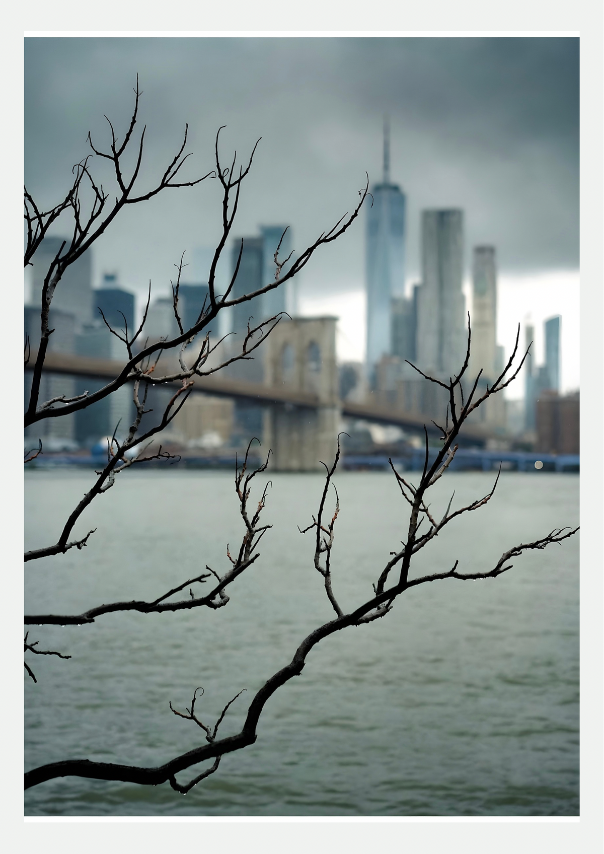 Affiche photo du Brooklyn Bridge et de la skyline de Manhattan sous la pluie, derrière des branches nues