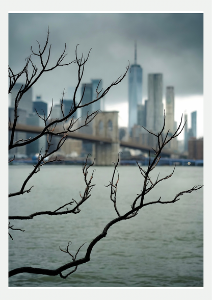 Affiche photo du Brooklyn Bridge et de la skyline de Manhattan sous la pluie, derrière des branches nues