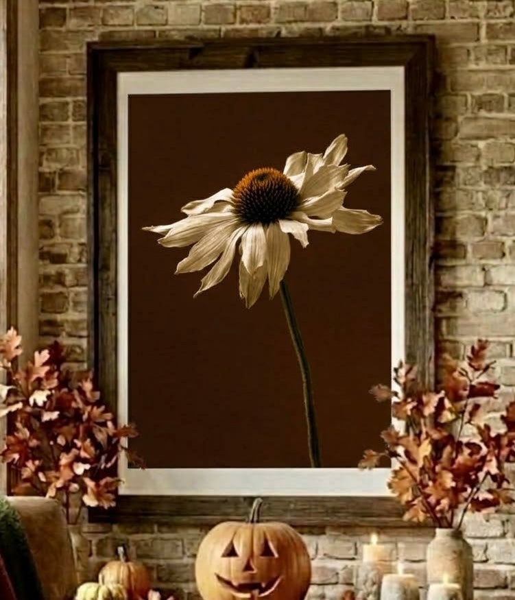 Vue rapprochée de l'affiche échinacée au mur, cadre et fleur sur fond brun profond