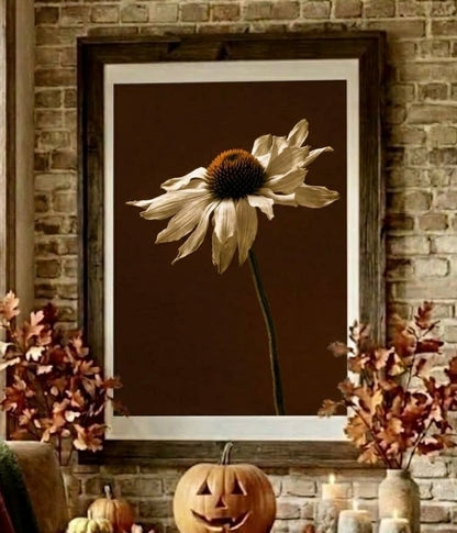 Vue rapprochée de l'affiche échinacée au mur, cadre et fleur sur fond brun profond
