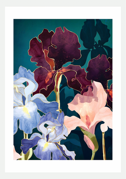 Affiche Iris Bordeaux et Bleus : iris aubergine, bleu pervenche et rose pêche à liserés dorés sur fond bleu canard