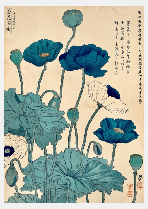 Pavots Bleus Japonais – Affiche Botanique Vintage